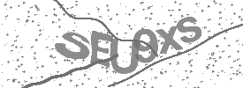 Image de vérification du test de sécurité